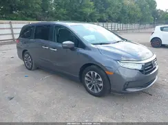 5FNRL6H67RB071169 2024 HONDA ODYSSEY