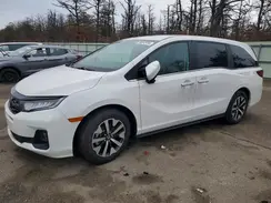 5FNRL6H67SB033219 2025 HONDA ODYSSEY