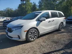 5FNRL6H68NB503410 2022 HONDA ODYSSEY