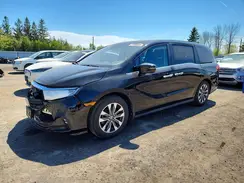 5FNRL6H68NB503861 2022 HONDA ODYSSEY