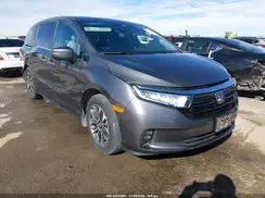 5FNRL6H68PB043314 2023 HONDA ODYSSEY