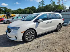 5FNRL6H68PB049596 2023 HONDA ODYSSEY