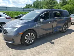 5FNRL6H68PB053034 2023 HONDA ODYSSEY