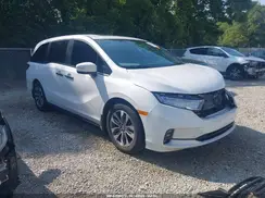 5FNRL6H68RB004158 2024 HONDA ODYSSEY