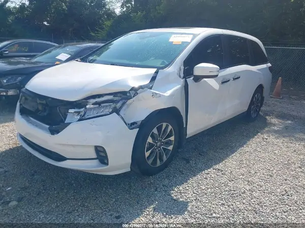 5FNRL6H68RB004158 2024 HONDA ODYSSEY - Image 2