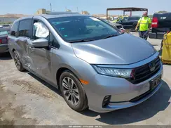 5FNRL6H68RB004838 2024 HONDA ODYSSEY