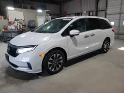 5FNRL6H68RB005052 2024 HONDA ODYSSEY
