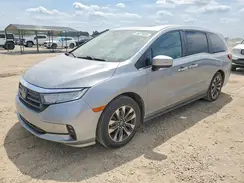 5FNRL6H68RB005195 2024 HONDA ODYSSEY