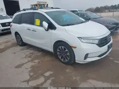 5FNRL6H68RB010879 2024 HONDA ODYSSEY
