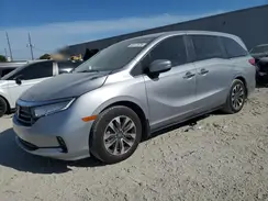 5FNRL6H68RB016827 2024 HONDA ODYSSEY