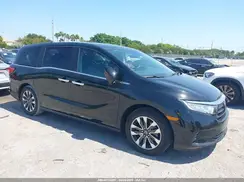 5FNRL6H68RB017184 2024 HONDA ODYSSEY