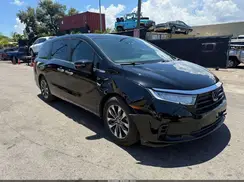 5FNRL6H68RB018609 2024 HONDA ODYSSEY