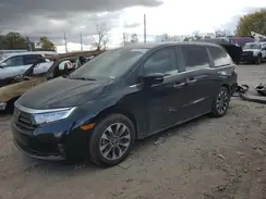 5FNRL6H68RB025124 2024 HONDA ODYSSEY