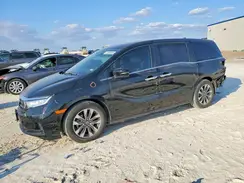 5FNRL6H68RB036222 2024 HONDA ODYSSEY