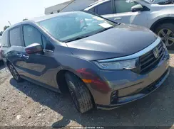 5FNRL6H68RB039153 2024 HONDA ODYSSEY