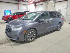 5FNRL6H68RB046555 2024 HONDA ODYSSEY