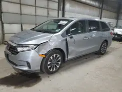 5FNRL6H68RB046653 2024 HONDA ODYSSEY