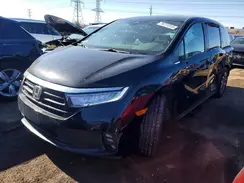 5FNRL6H68RB050279 2024 HONDA ODYSSEY