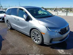 5FNRL6H68RB050525 2024 HONDA ODYSSEY