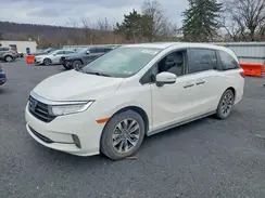 5FNRL6H68RB060794 2024 HONDA ODYSSEY