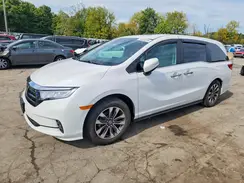 5FNRL6H68RB062187 2024 HONDA ODYSSEY