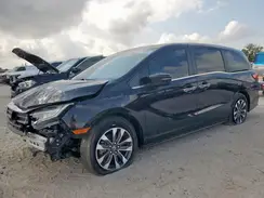 5FNRL6H68RB065834 2024 HONDA ODYSSEY
