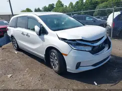 5FNRL6H68RB067180 2024 HONDA ODYSSEY