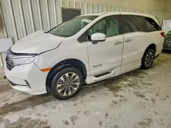 5FNRL6H68RB068894 2024 HONDA ODYSSEY