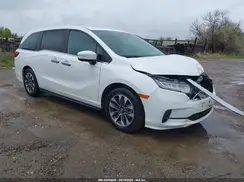 5FNRL6H68RB070774 2024 HONDA ODYSSEY