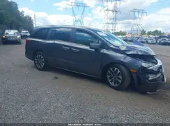 5FNRL6H68RB075246 2024 HONDA ODYSSEY