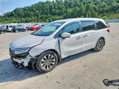 5FNRL6H68RB075635 2024 HONDA ODYSSEY