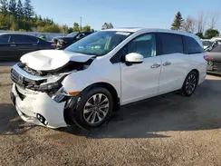 5FNRL6H68RB504045 2024 HONDA ODYSSEY