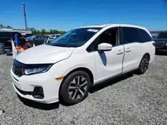 5FNRL6H68SB019460 2025 HONDA ODYSSEY