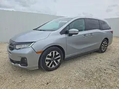 5FNRL6H68SB084843 2025 HONDA ODYSSEY