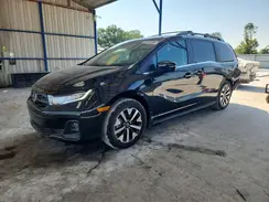 5FNRL6H68TB036812 2026 HONDA ODYSSEY