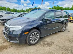 5FNRL6H69PB006644 2023 HONDA ODYSSEY