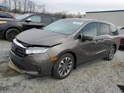 5FNRL6H69PB033309 2023 HONDA ODYSSEY