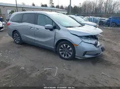5FNRL6H69PB033892 2023 HONDA ODYSSEY