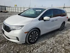 5FNRL6H69PB056024 2023 HONDA ODYSSEY