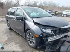 5FNRL6H69PB063863 2023 HONDA ODYSSEY