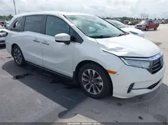 5FNRL6H69RB000314 2024 HONDA ODYSSEY