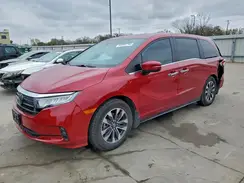 5FNRL6H69RB002175 2024 HONDA ODYSSEY
