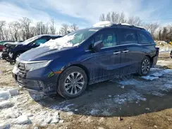 5FNRL6H69RB006646 2024 HONDA ODYSSEY