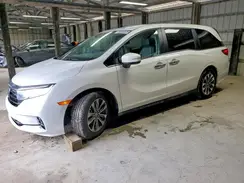 5FNRL6H69RB022202 2024 HONDA ODYSSEY