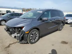 5FNRL6H69RB037945 2024 HONDA ODYSSEY