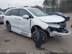 5FNRL6H69RB038299 2024 HONDA ODYSSEY