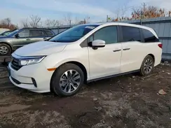 5FNRL6H69RB039162 2024 HONDA ODYSSEY