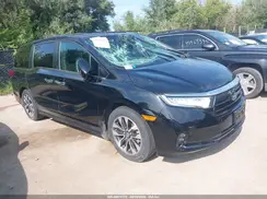 5FNRL6H69RB042479 2024 HONDA ODYSSEY