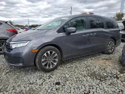 5FNRL6H69RB044247 2024 HONDA ODYSSEY