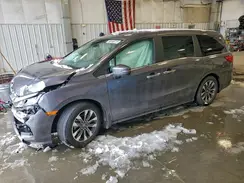 5FNRL6H69RB046970 2024 HONDA ODYSSEY